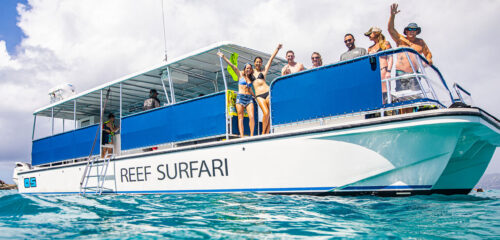 reef surfari os snorkel adventure