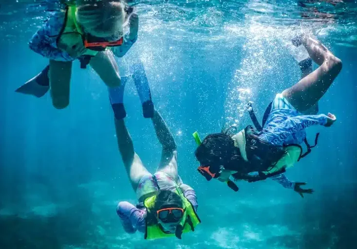 Snorkelers Underwater 1920 Snorkelers Underwater 1920