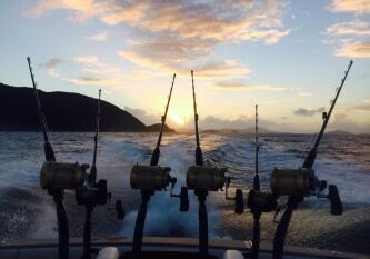 Sunset Fishing Adventures overnight snorkeling